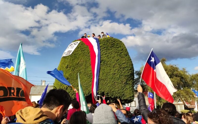 El ciprés de la dignidad