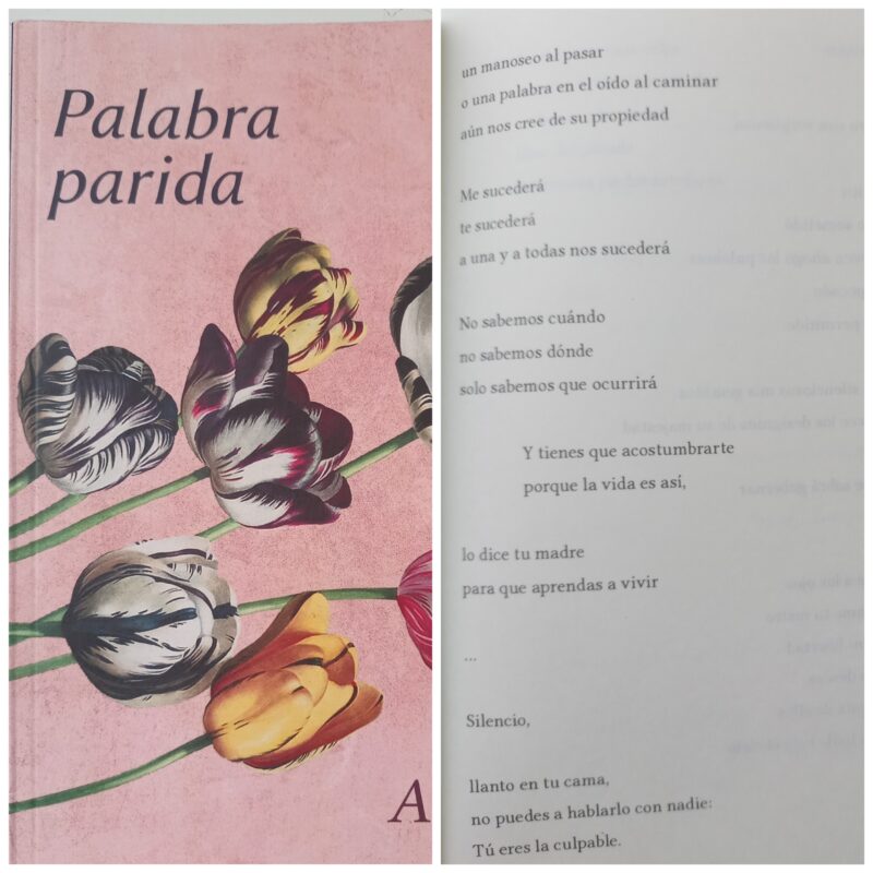 “Palabra Parida” de la poeta Amparo